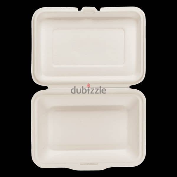 compostable plates (Made of sugar cane) 6