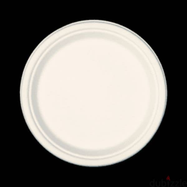 compostable plates (Made of sugar cane) 9