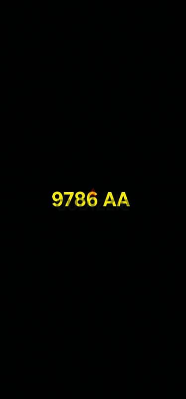 9786 AA car plate