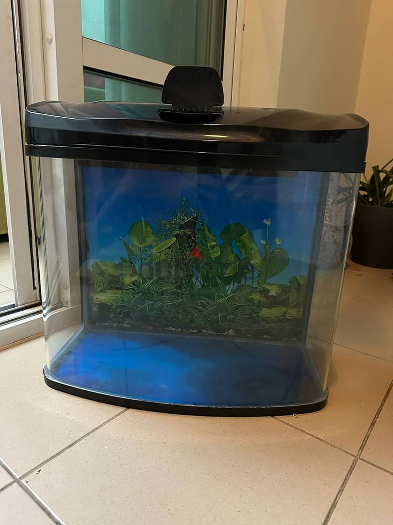 Box-sized Fish Tank, 50L 0