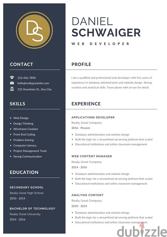 designing professional CV 1