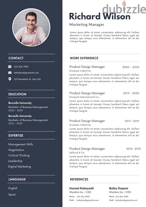 designing professional CV 2