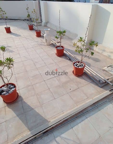 Complete Garden Set for Sale 8