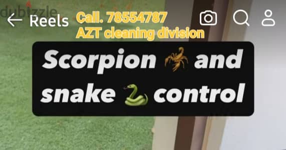 Pest Control Service