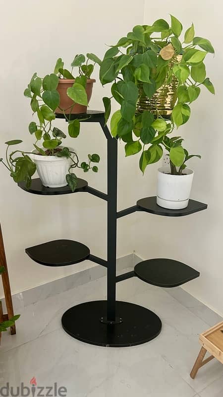 plant stand 0