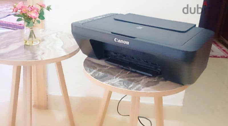 Canon printer ( Model MG 3040 ) 0