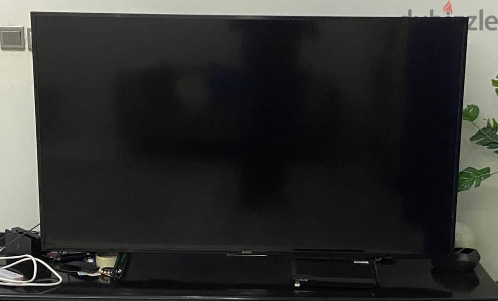 65" Sony TV 1