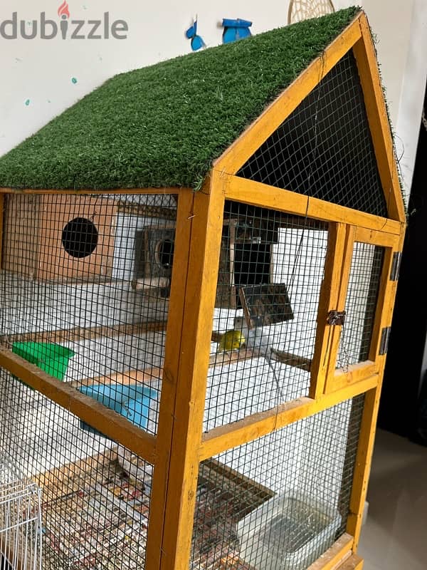 Bird and Cage for Sale 2