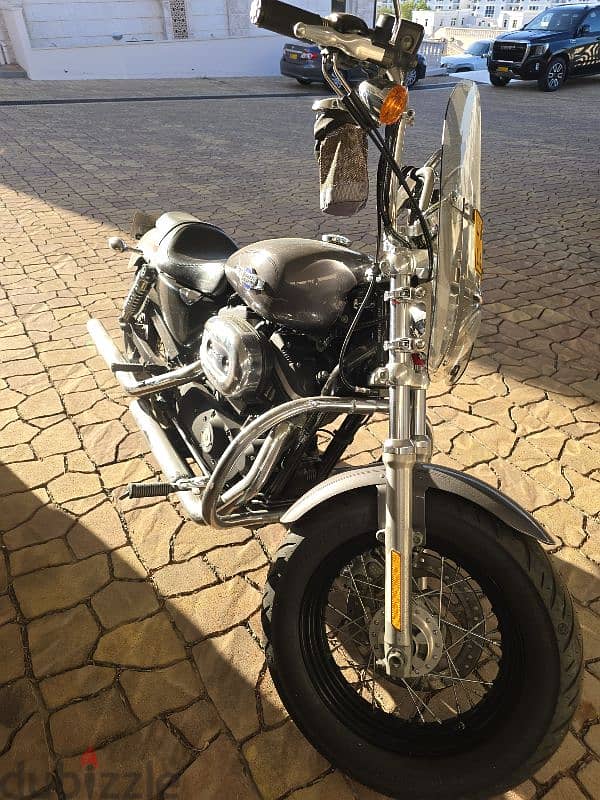 هارلي ديفدسون سبوستر كستوم ١٢٠٠ harley davidosn sportster custom 1200 0