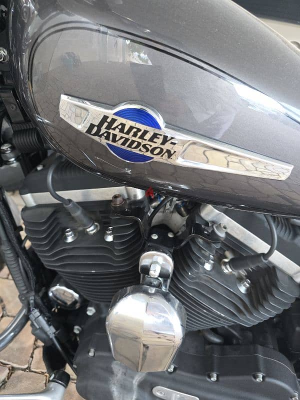 هارلي ديفدسون سبوستر كستوم ١٢٠٠ harley davidosn sportster custom 1200 17