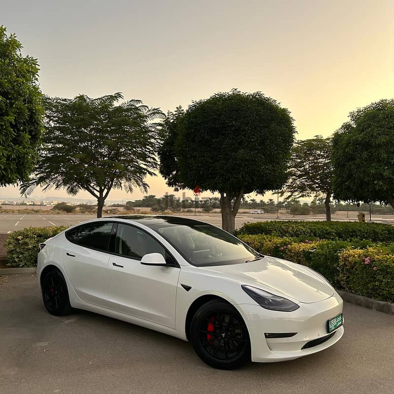 Tesla Model 3 2022 Dual Motor Long Range 0