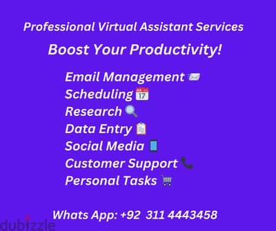 Professional Virtual Assistant Services