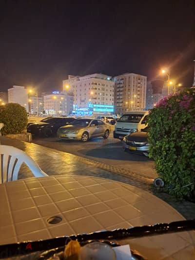 مطلوب