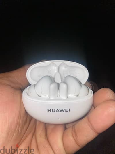 EarPods