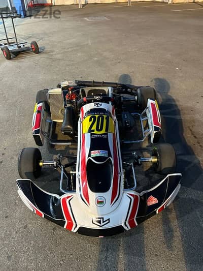 Go Kart for Sale