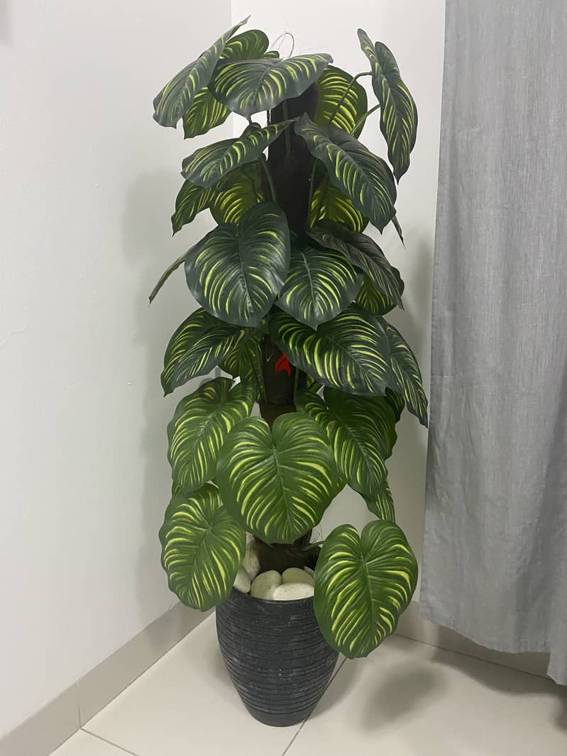 Artificial plant 0