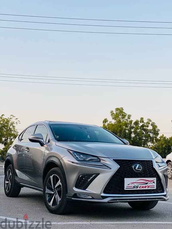 Lexus NX 300 2018 0