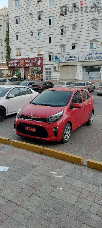 Kia Picanto for Rent for Rent. كيا سيارات للايجار 1