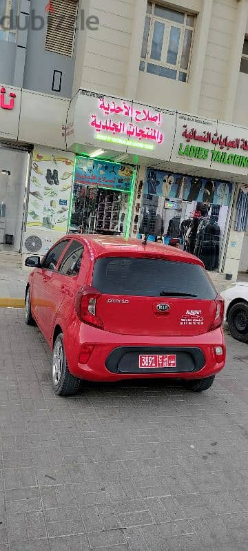 Kia Picanto for Rent for Rent. كيا سيارات للايجار 3