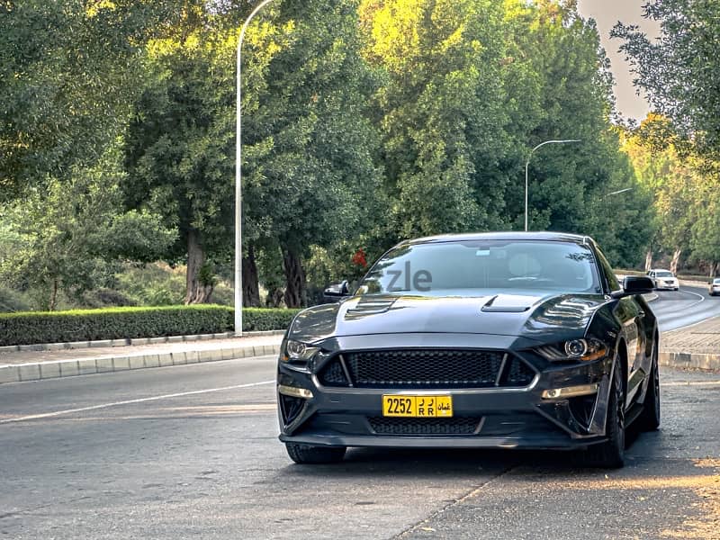 Ford Mustang GT 2019 0