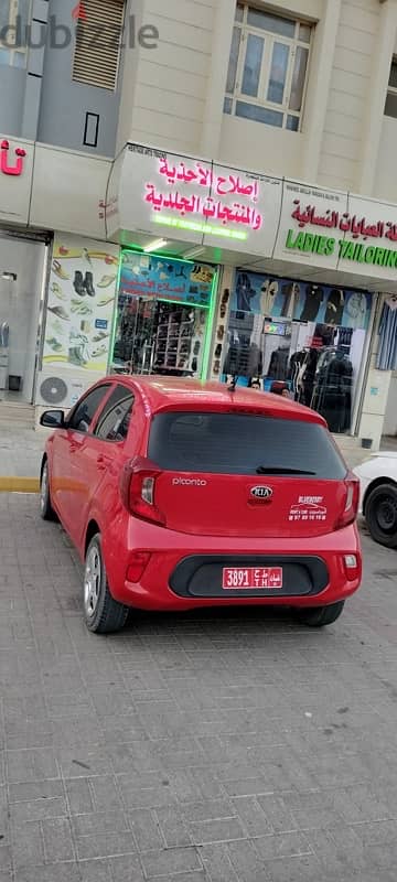 Kia Picanto , Toyota Corolla , Hyundai  Accent MG 5 for Rent 4