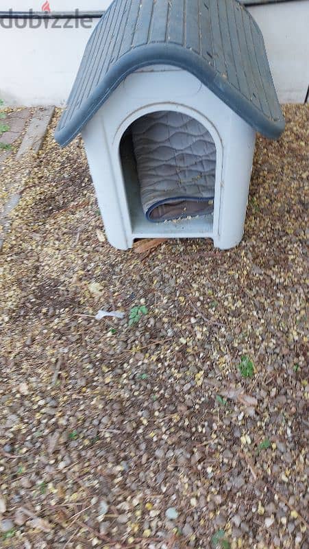 pets house for sale very good condition 7