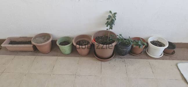 9 flower pots for sale