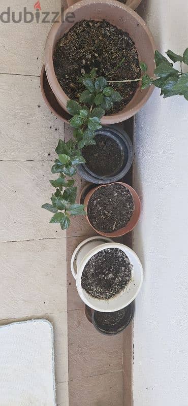 9 flower pots for sale 2