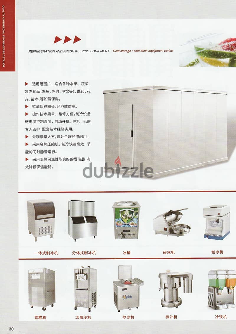 Slush | Ice Cream | Korean Ice Flake Machine | Fridge | Catering 9