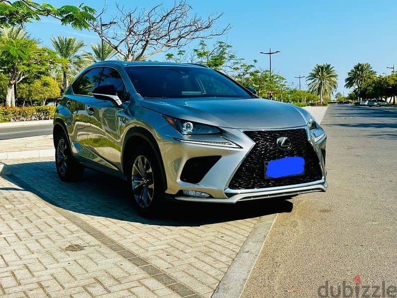 Lexus NX 300 F Sport 2019 0