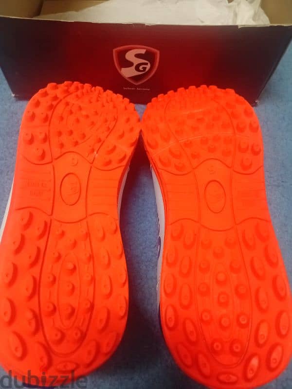 SG cricket shoes 1