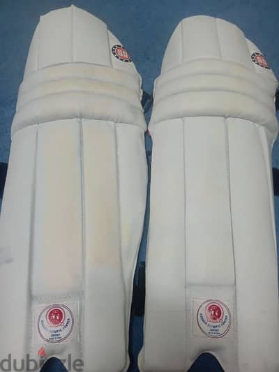 SS and MRF cricket pads