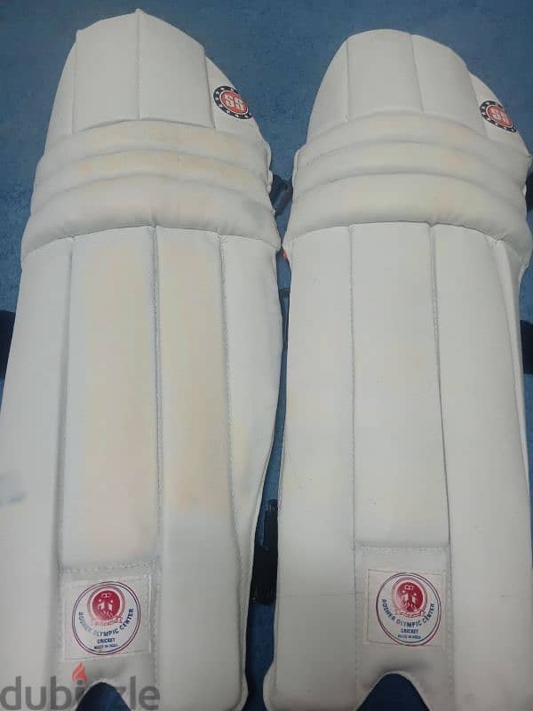 SS and MRF cricket pads 0