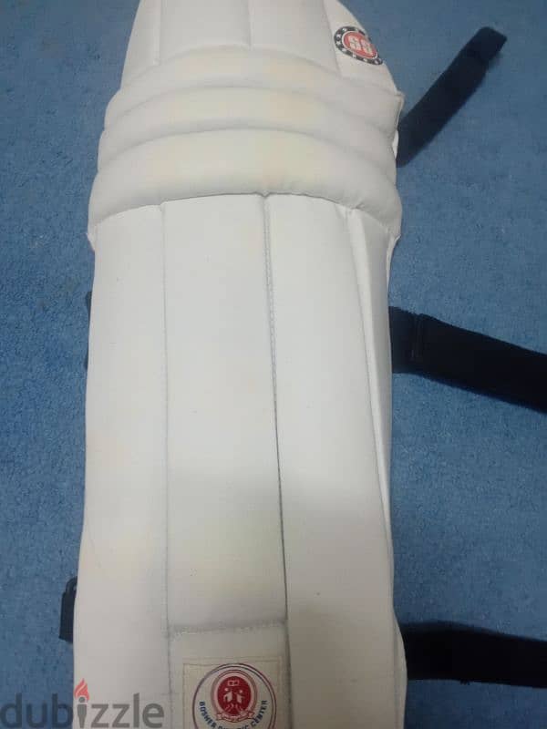 SS and MRF cricket pads 2