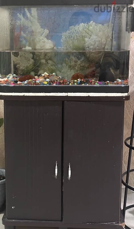 Fish aquarium with storage 0