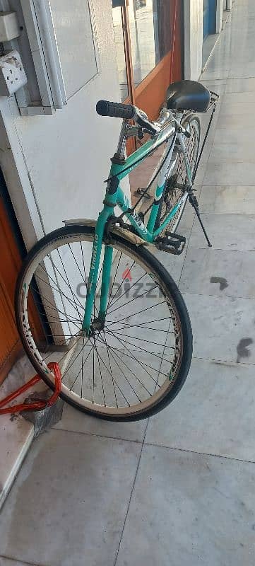 Cycle For Sale 1