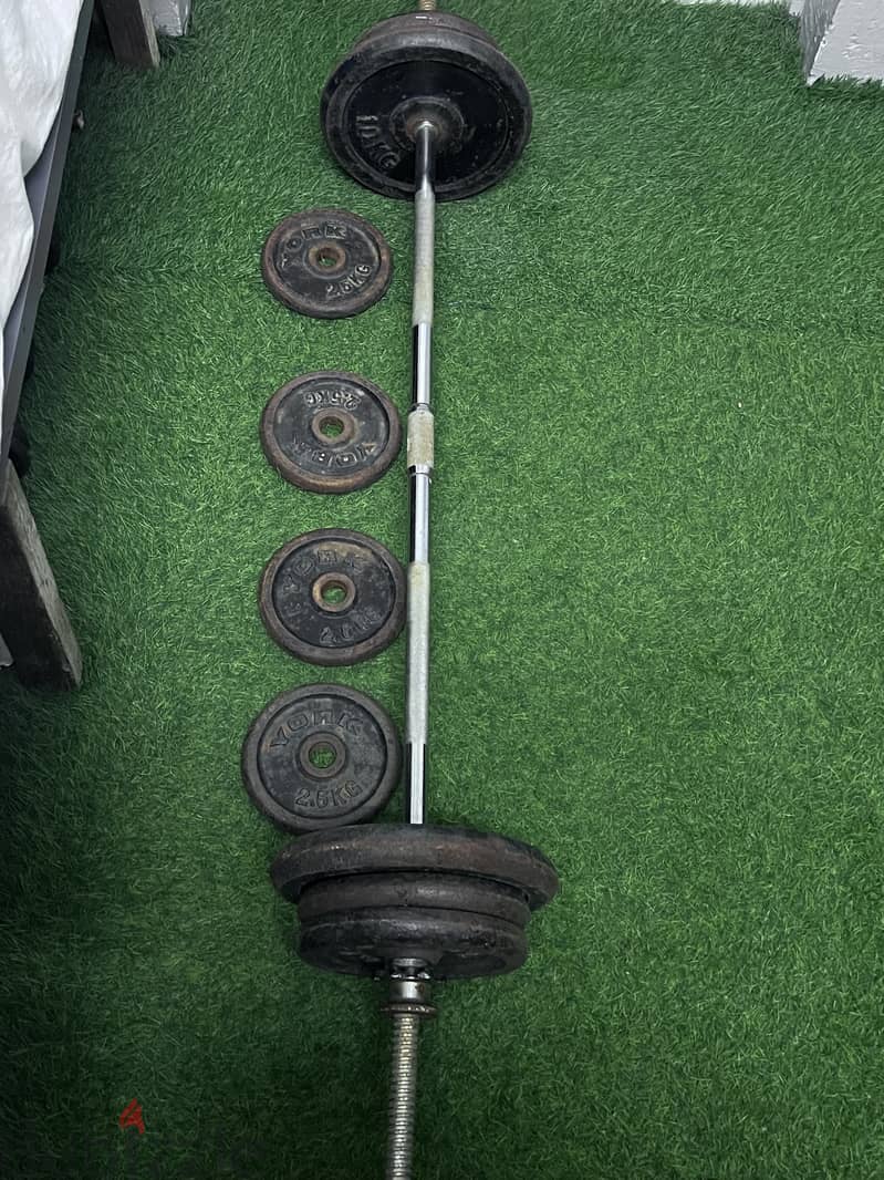 50 kg bar and dumbbell 0