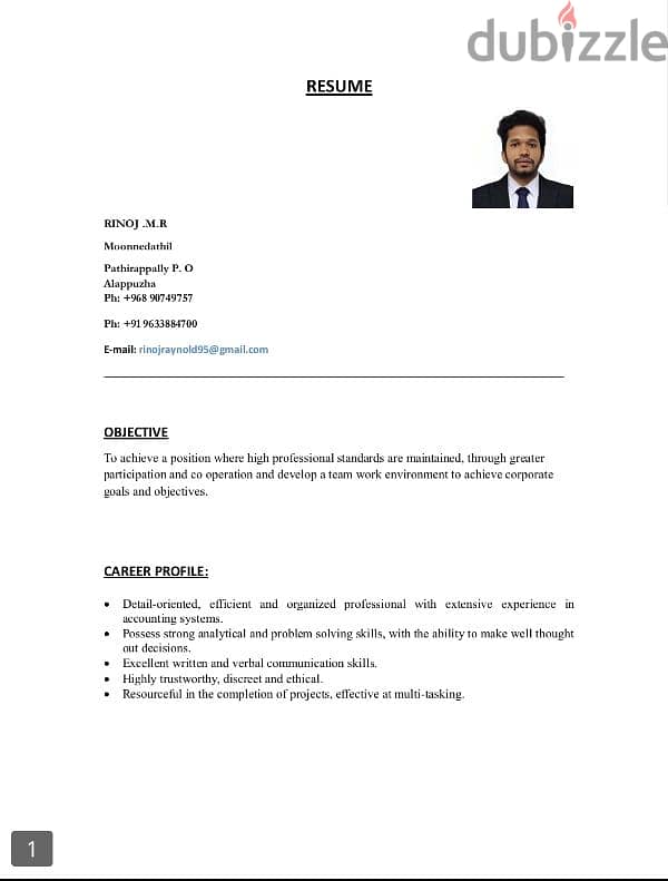 Looking for Accountant Job 0