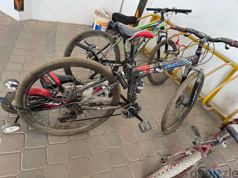 kids (4-6 years) and Adult sports gear bike 0