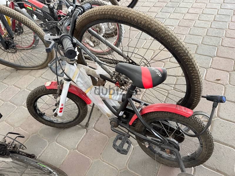 kids (4-6 years) and Adult sports gear bike 1