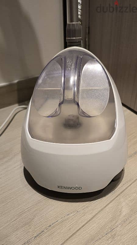 Steam iron 3