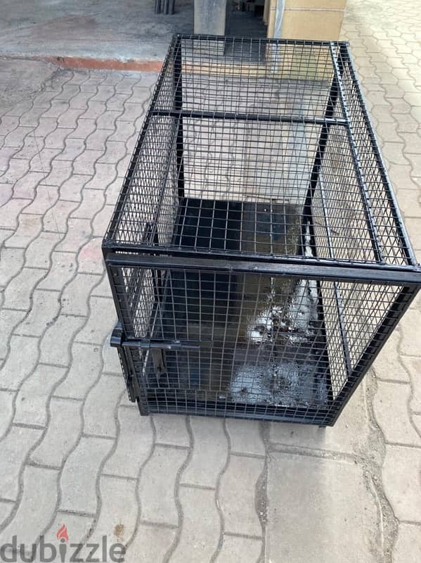 Cage for sale 2