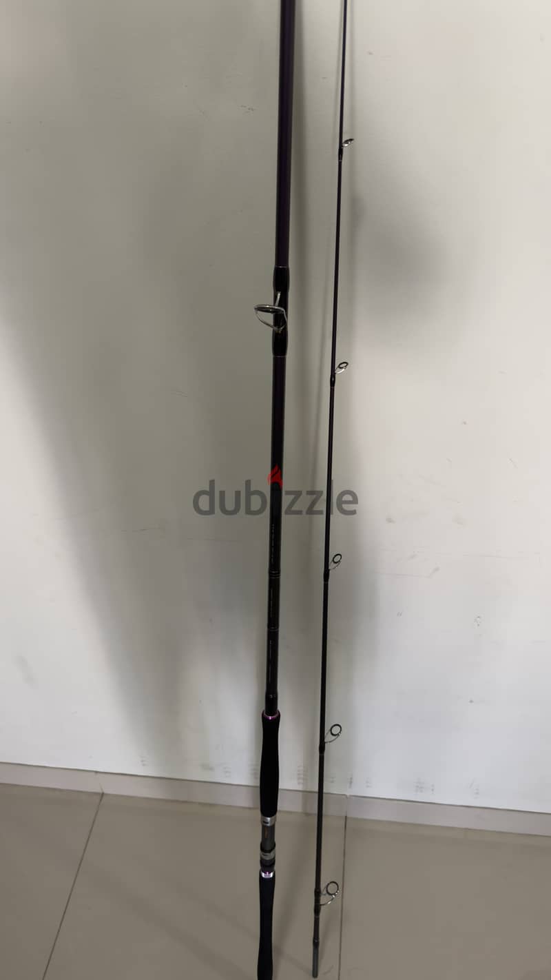 Fishing Rod NS black hole 5