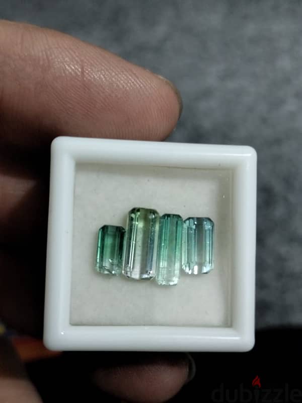 Natural Bicolour Tourmaline (بیروج ) 4