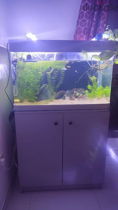 Aquarium with Wooden Stand for Sale – 65 OMR. . . ! 1