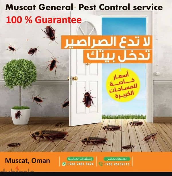 Muscat general pest control service 96439513 3