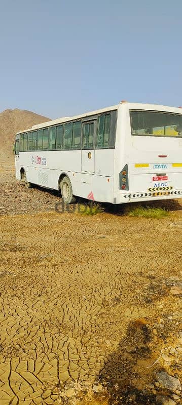 TATA BUS FOR SALE 1