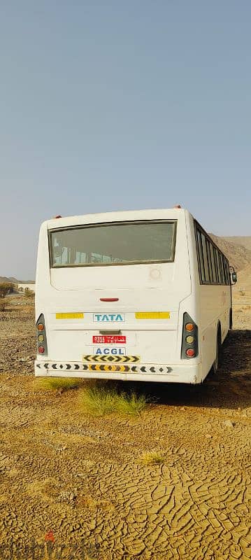 TATA BUS FOR SALE 5