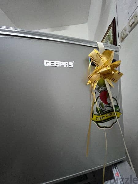 Geepas Fridge 2