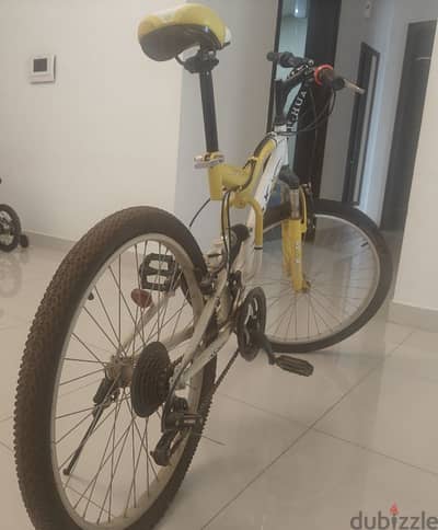 VLRA GEARED CYCLE